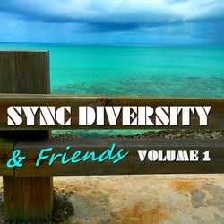 Sync Diversity & Friends, Vol. 1