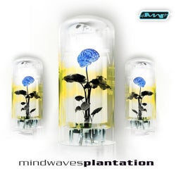 Mindwaves Plantation