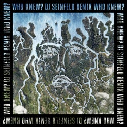 Who Knew? (DJ Seinfeld Remix)