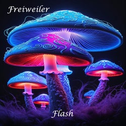 Flash