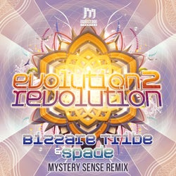 Evolution 2 Revolution (Mystery Sense Remix)