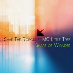 Shape Of Wonder
