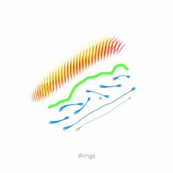 Wings