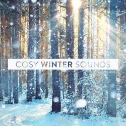 Cosy Winter Sounds Vol. 4
