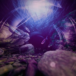 The Deep