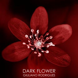 Dark Flower EP