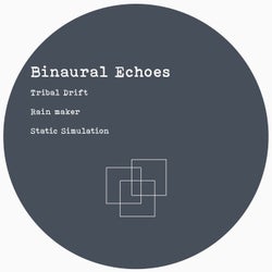 Binaural Echoes
