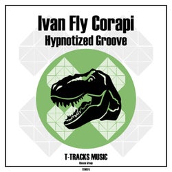 Hypnotized Groove (Original Mix)