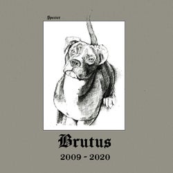BRUTUS (2009-2020)
