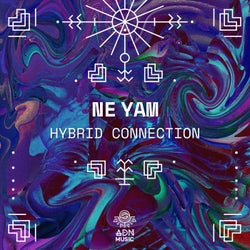 Hybrid Connection