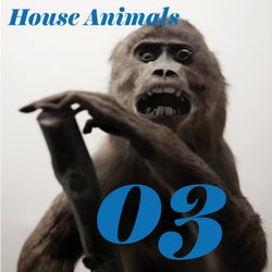 House Animals, Vol. 3