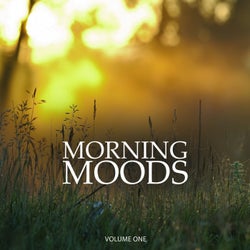 Morning Moods, Vol. 1 (Wonderful Chill Out & Down Beat Background Music For Cafe, Restaurant And Bar)