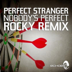 Nobody's Perfect (Rocky Remix)