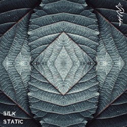 Nurture vs Nature (Silk Static Remix)