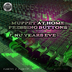 Muppet at home pressing buttons / Nu years Eve (FLEX045)
