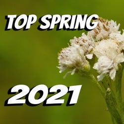 Top Spring 2021