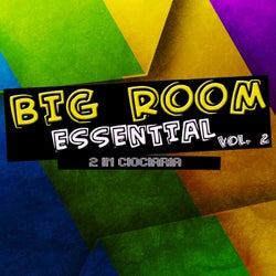 Big Room Essential, Vol. 2