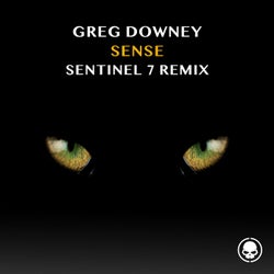 Sense - Sentinel 7 Remix