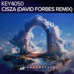 Cisza - David Forbes Remix