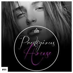 Prestigious House, Vol. 11