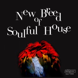 New Breed of Soulful House
