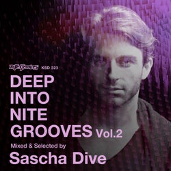 Deep Into Nite Grooves Vol.2: Mixed & Selected By Sascha Dive