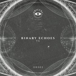 Binary Echoes