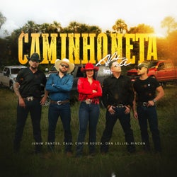 Caminhoneta Alta