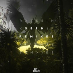 Seen (feat. Veronica Bravo) [Remixes]