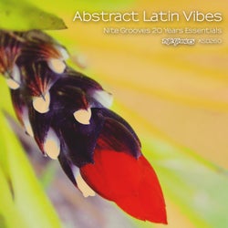 Abstract Latin Vibes (Nite Grooves 20 Years Essentials)