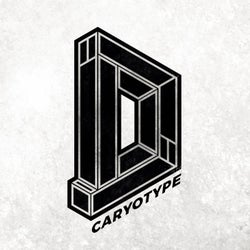 Caryotype