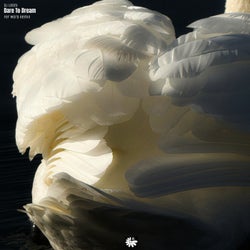 Dare to Dream (Fer Mora Remix)