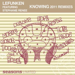 Knowing (2011 Remix)