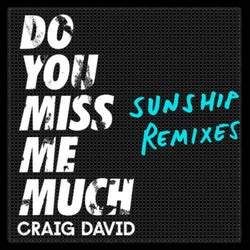 Do You Miss Me Much (Sunship Remixes)