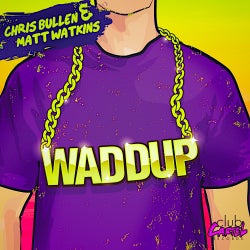 Waddup Chart 2013