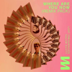 Where Are You Now (Extended Remix Pack)