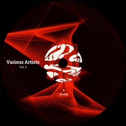 Various Artists - VOL. 2