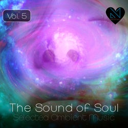 The Sound of Soul, Vol. 5 - Selected Ambient Music