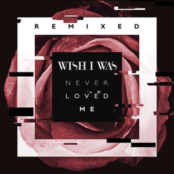 Never Loved Me (Remix)