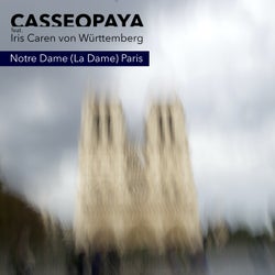 Notre Dame - La Dame - Paris