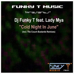 Cold Night In June (Incl. The Couch Bustards Remixes)