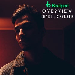 Skylark 'Oct 21 Chart