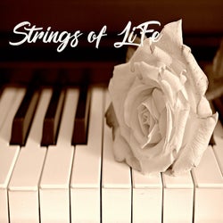 Strings of Life