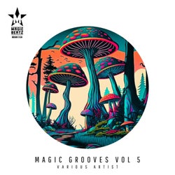 Magic Grooves Vol 5