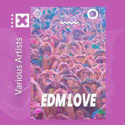 EDM LOVE (MaXZero Remix)