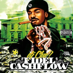 Fidel Cashflow