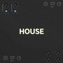 In The Remix - House