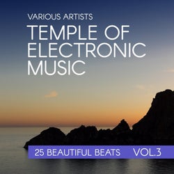 Temple Of Electronic Music (25 Beautiful Beats), Vol. 3