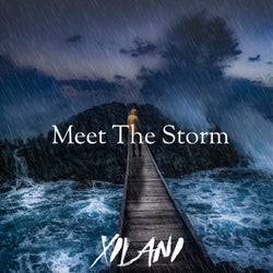 Meet the Storm