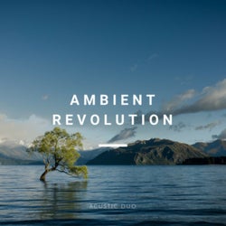 Ambient Revolution (Downtempo, Electronic Chillout, New Age)